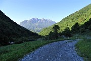 MONTI VINDIOLO e VETRO ad anello da Zorzone-Pian Bracca in VAL VEDRA il 13 giugno 2019 - FOTOGALLERY